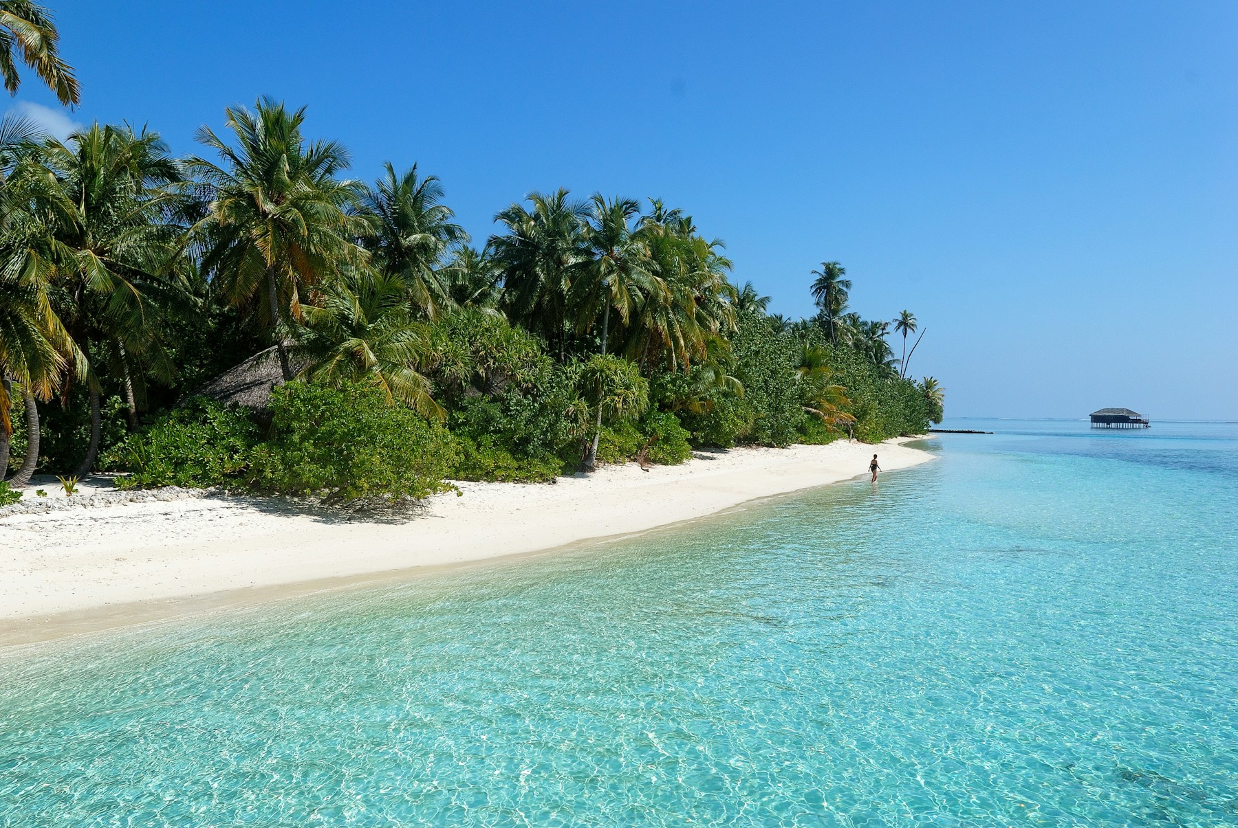 Maldives